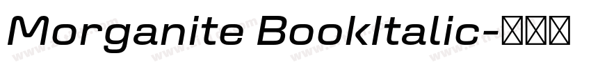 Morganite BookItalic字体转换 Morganite BookItalic字体转换